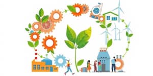 A economia circular como motor de inovação empresarial